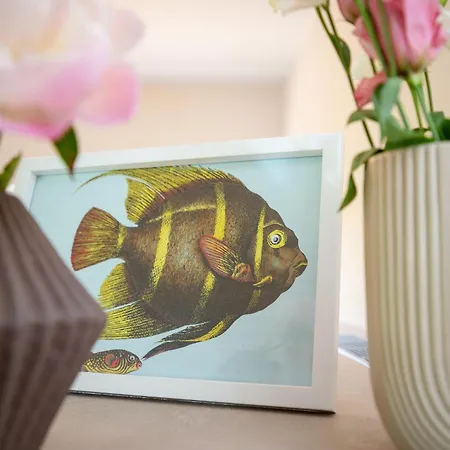 Languste 1 * Βέστερλαντ