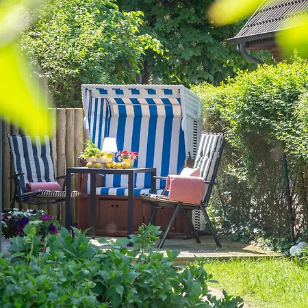 Languste 1 Διαμέρισμα *