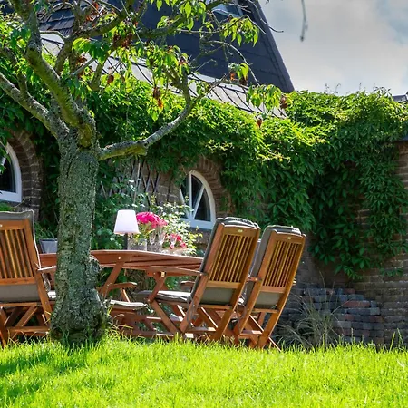 Διαμέρισμα Languste 1